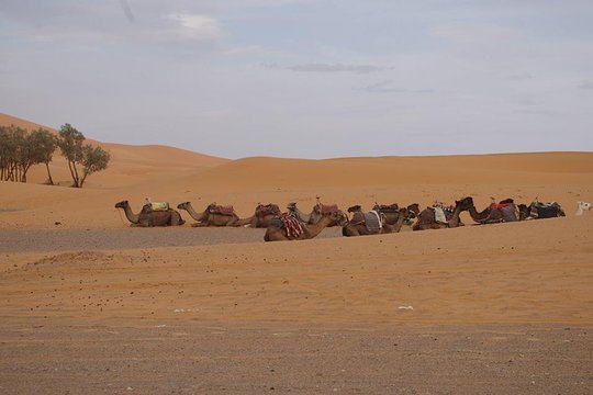 Tour image 9