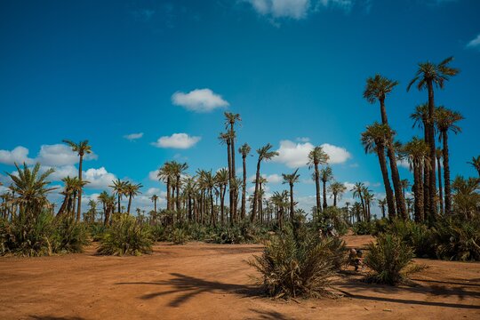 Tour image 5