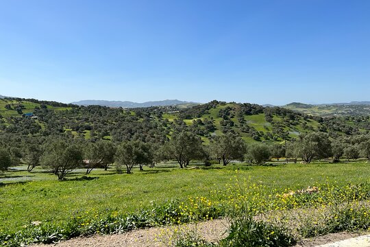 Tour image 10
