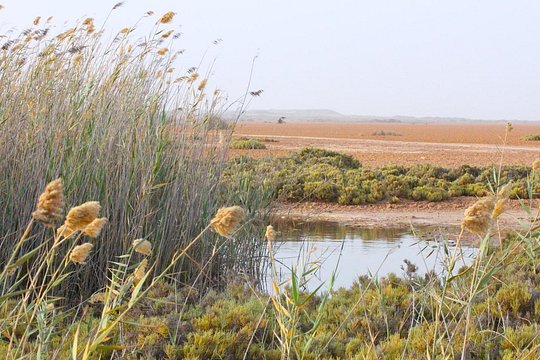 Tour image 2